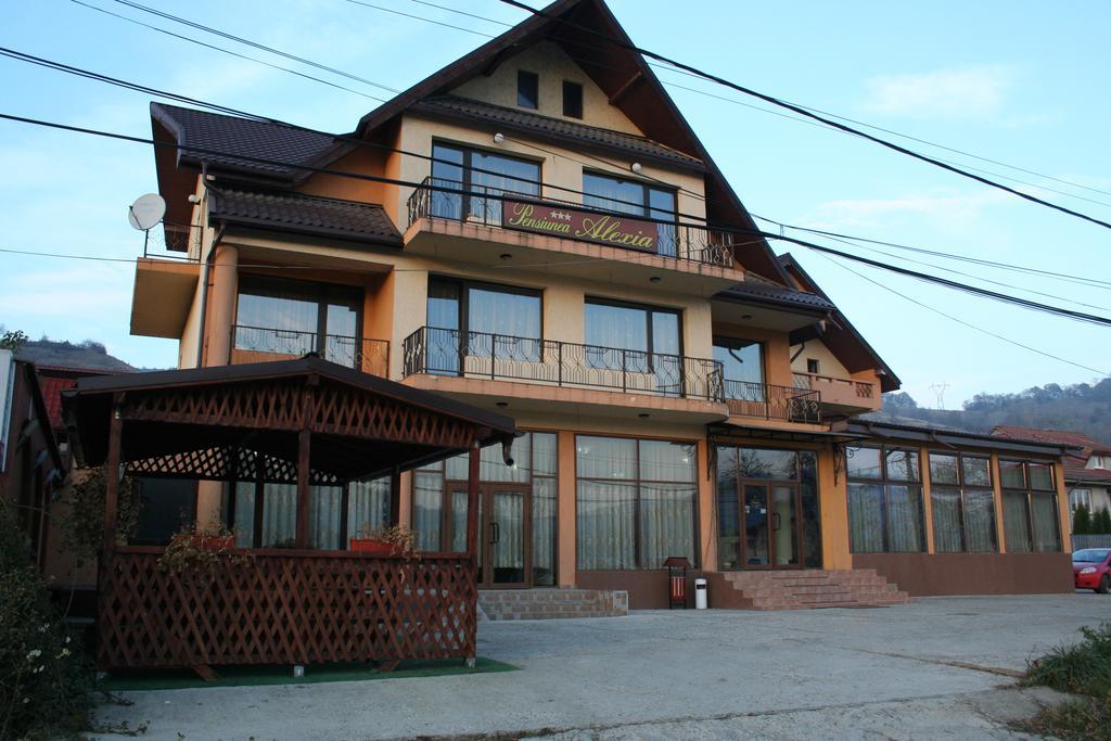 Pensiunea Alexia Piatra Neamt Exterior photo